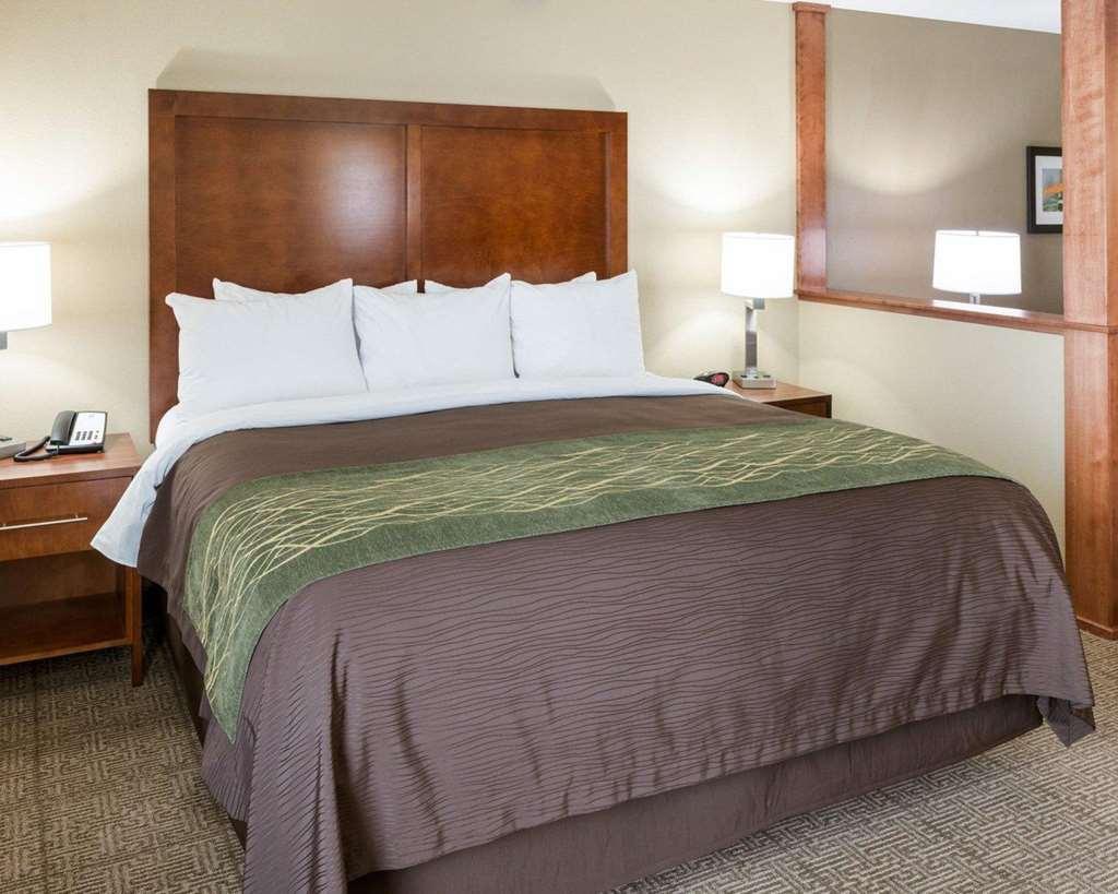 Comfort Inn & Suites West - Medical Center Rochester Pokój zdjęcie